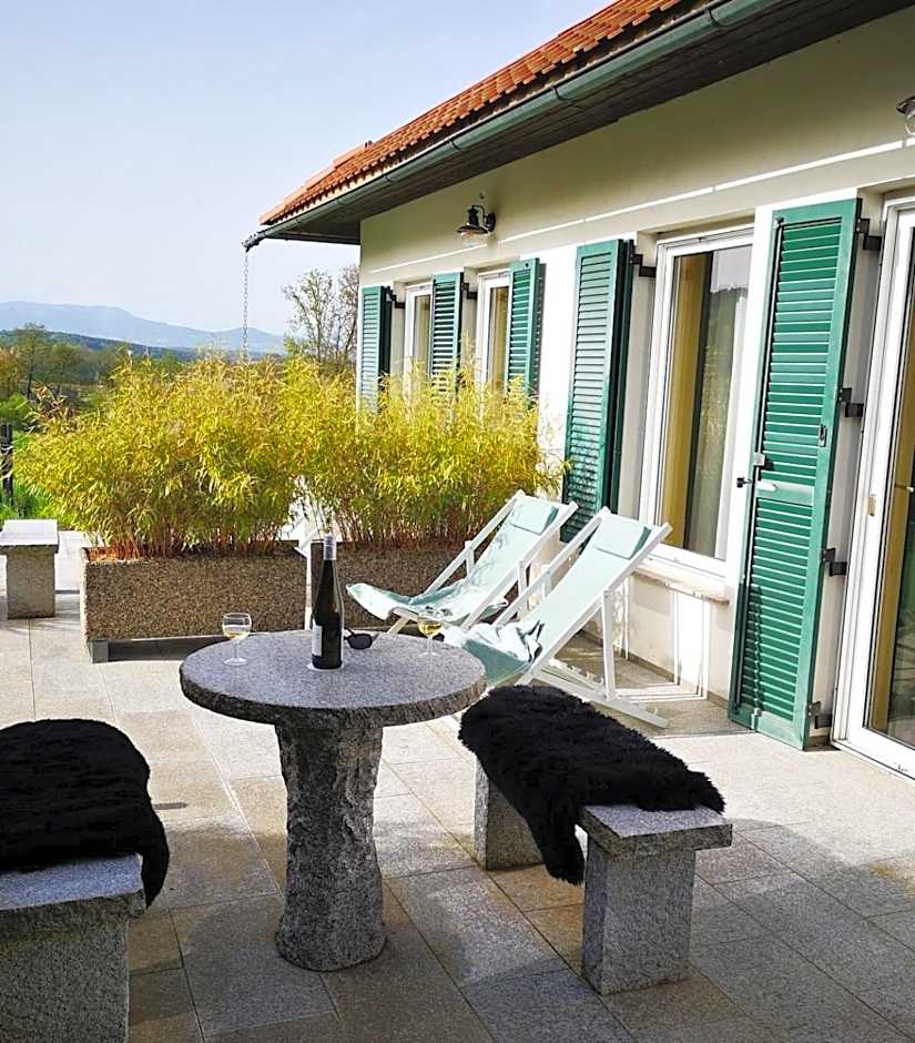 Aparthotel "Goldener Hahn Apartments"