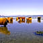 Appin Holiday Homes - Lodges, Shepherds Hut and Train Carriage stays