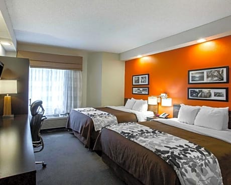 Queen Room with Two Queen Beds - Non-Smoking
