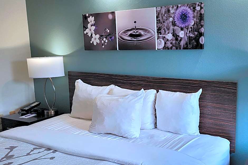 Sleep Inn Bessemer Helena