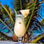 Baobab Sea Lodge