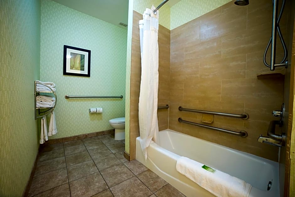 Holiday Inn Express Hotel & Suites Atlanta East - Lithonia