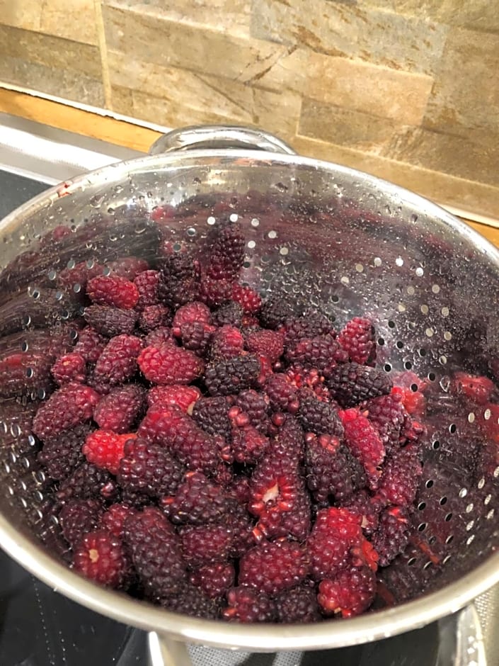 Le Cerisier Saint-Barbant