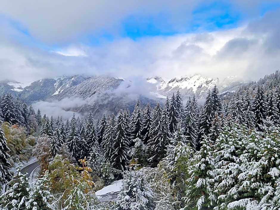 Alpine 1 bed Chalet with beautiful views