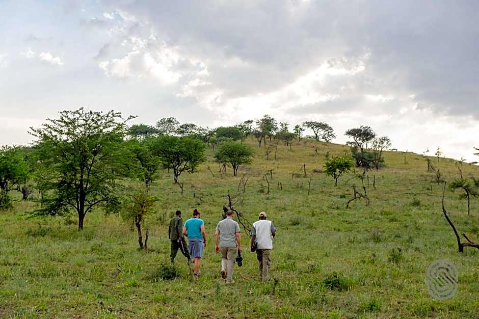 Serengeti Serena Safari Lodge