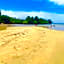 CampSarap Hostel & Resort