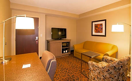 1 King Bed 1 Bedroom Suite Nonsmoking