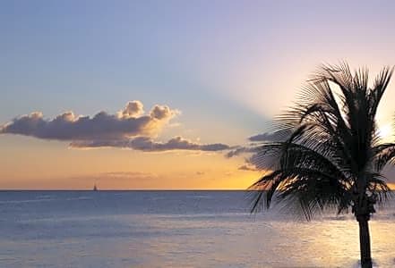 Infinity On The Beach