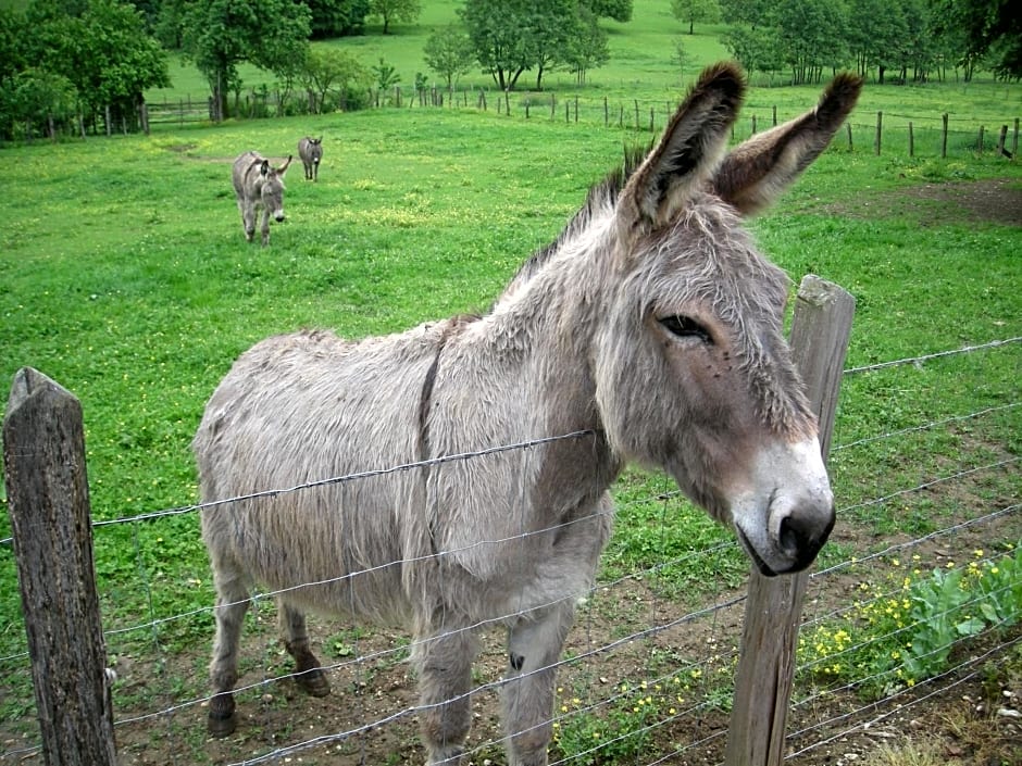 La Source D'Argammet