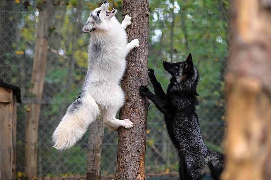 Rodinný Hotel Hubert High Tatras