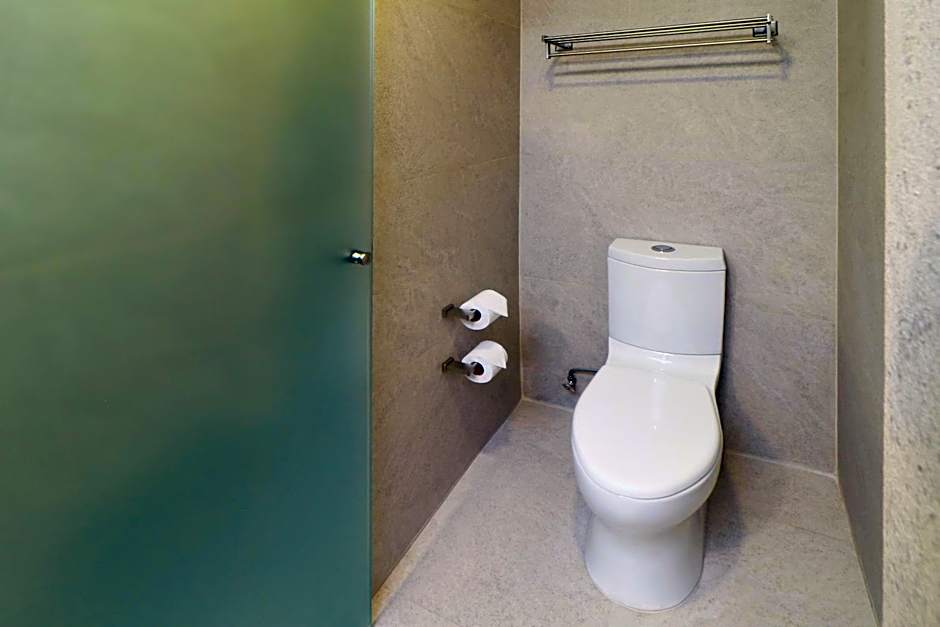 Holiday Inn & Suites - Mexico Felipe Angeles Airport By IHG