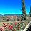 Chianti Village Morrocco