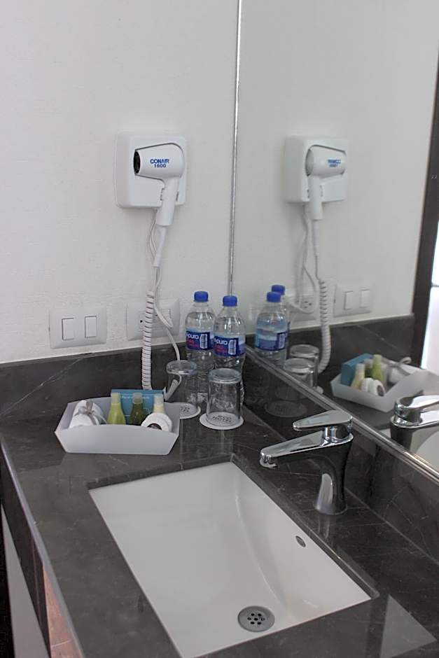 Eco Hotel Guadalajara Expo