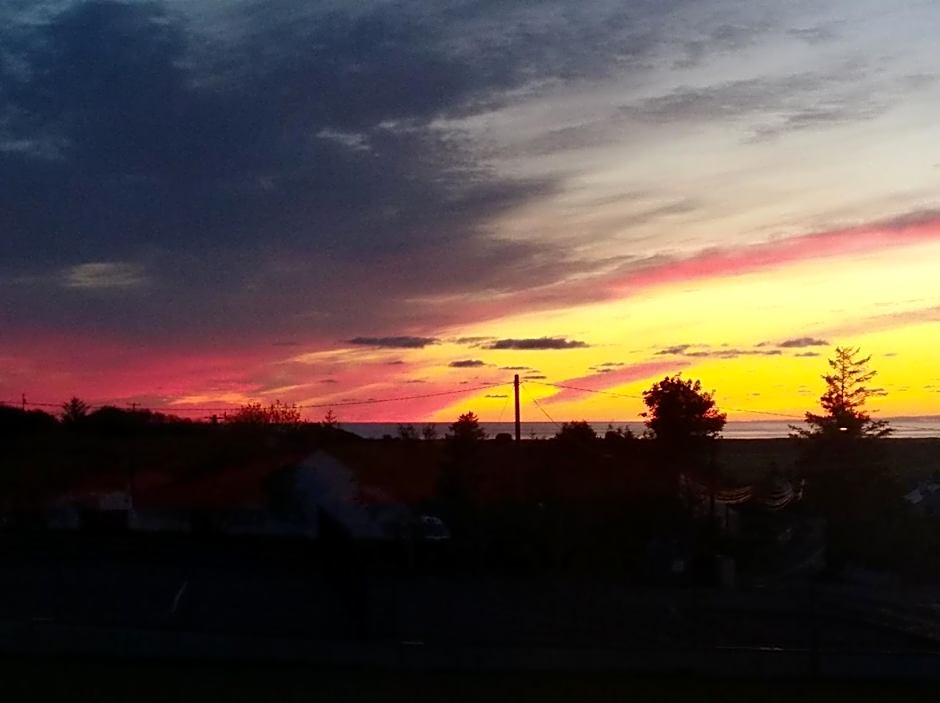 Madra Rua Organic Accommodation