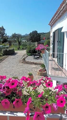 B & B GLI OLEANDRI