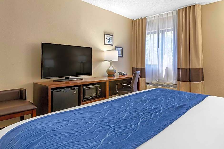 Comfort Inn Near Greenfield Village