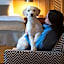Mercure Belgrade Excelsior