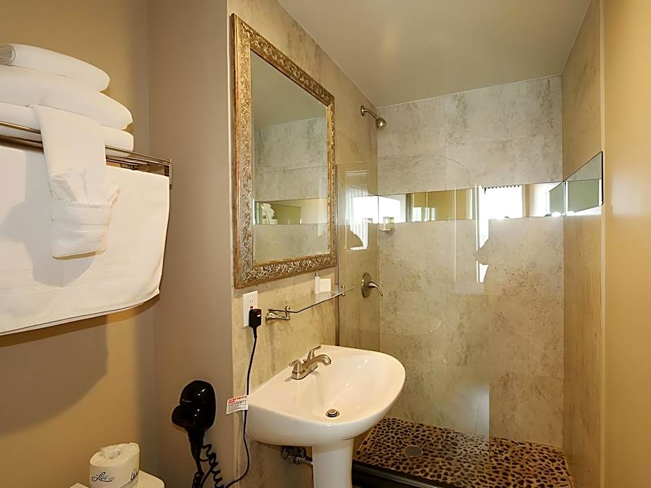 Hotel Vetiver