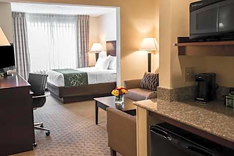 Comfort Suites University Area