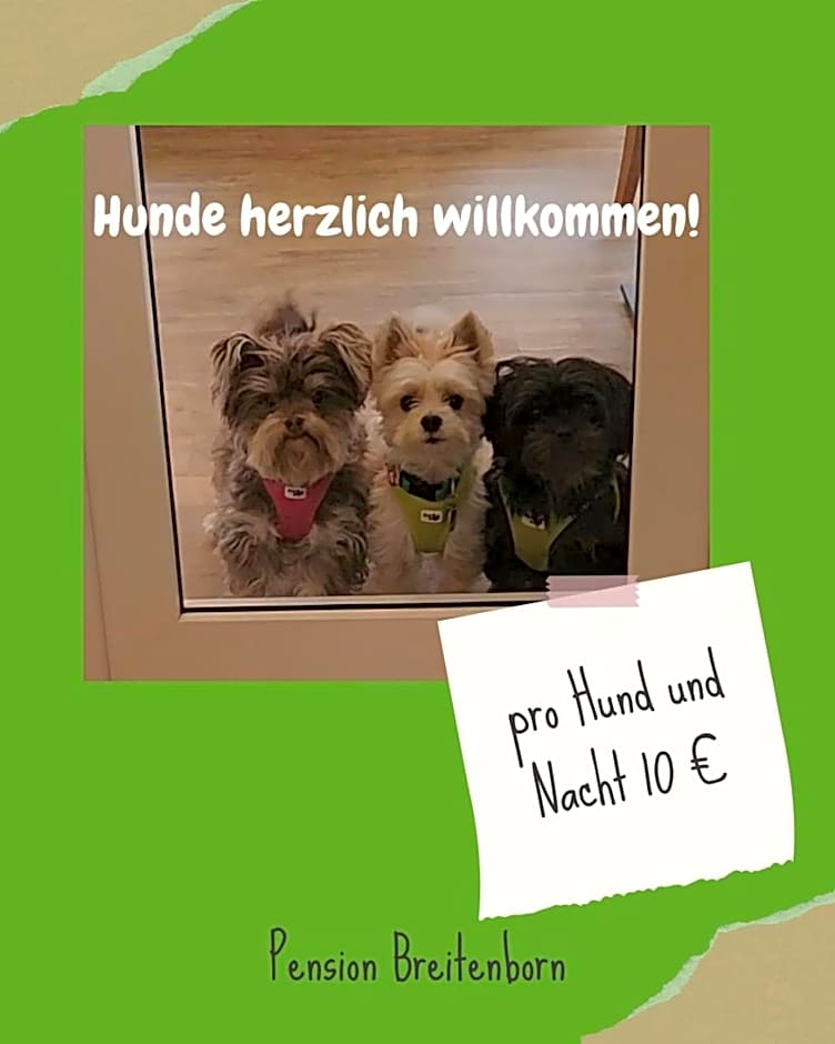 Pension Breitenborn