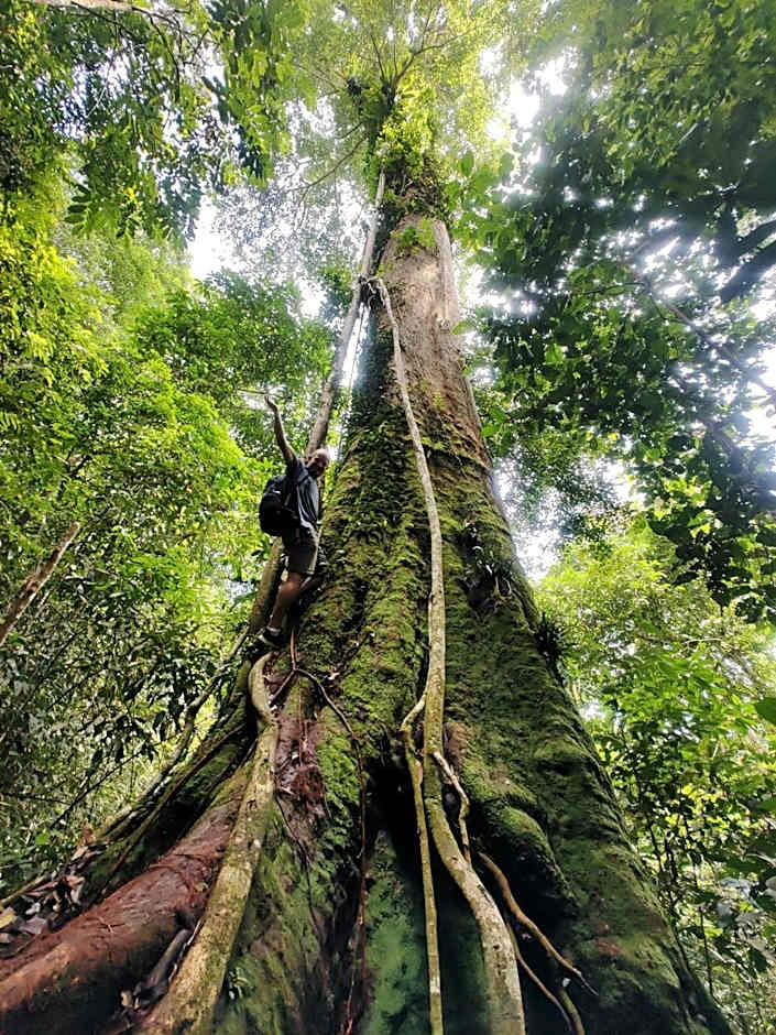 Asim Paris Guesthouse & jungle trekking
