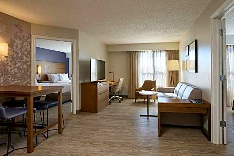 2 Bedroom Larger Suite, Bedroom 1: 1 King, Bedroom 2: 2 Queen, Sofa Bed