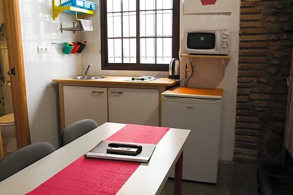 Golondrinas de la Alhambra