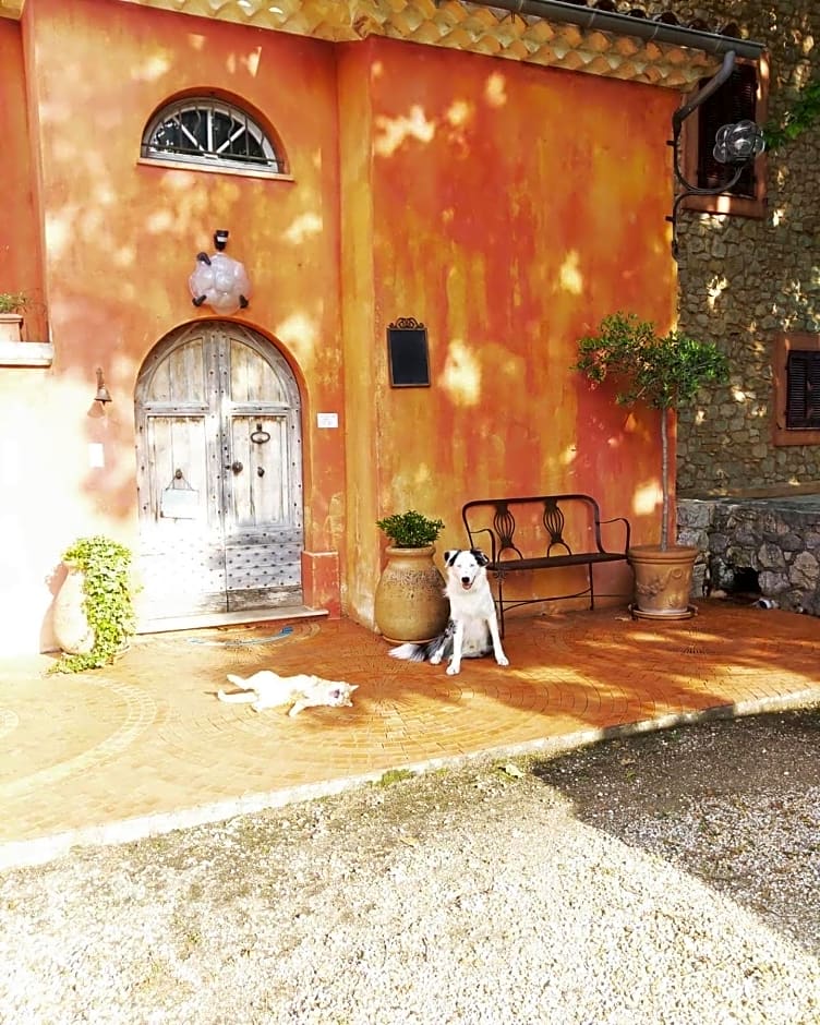 Domaine De Sainte Annette – Callian, ID