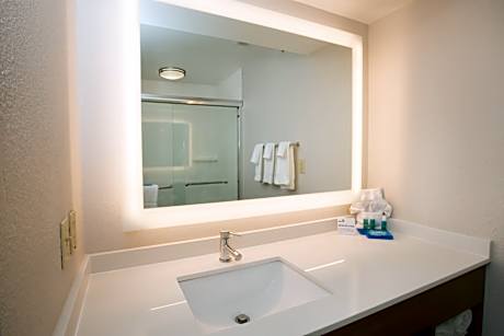 1 King 1 Bedroom Suite