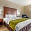 Comfort Inn Lenoir City-Knoxville
