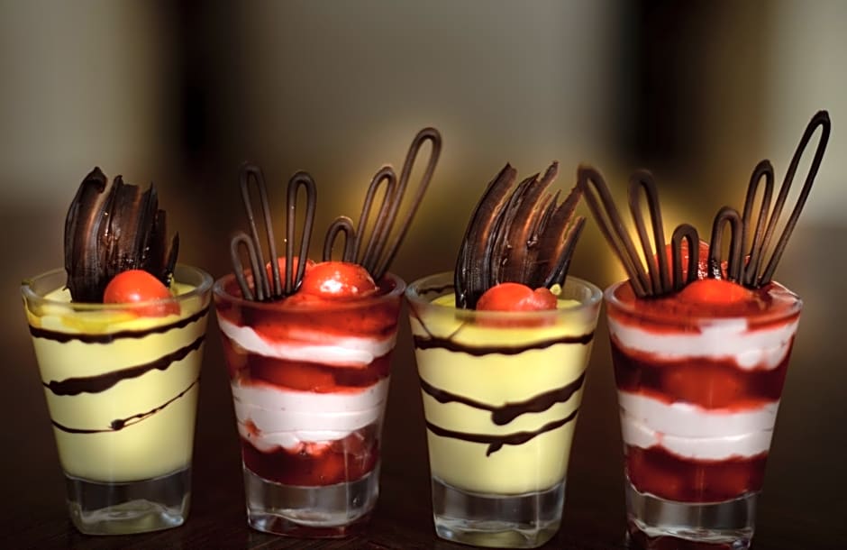 Pride Plaza Hotel Ahmedabad