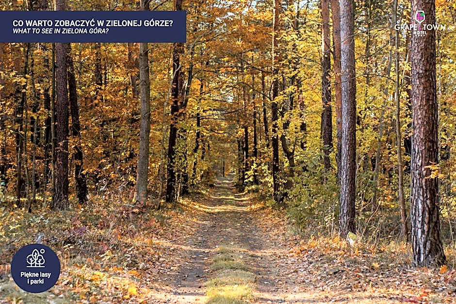 Grape Town Hotel - Park79