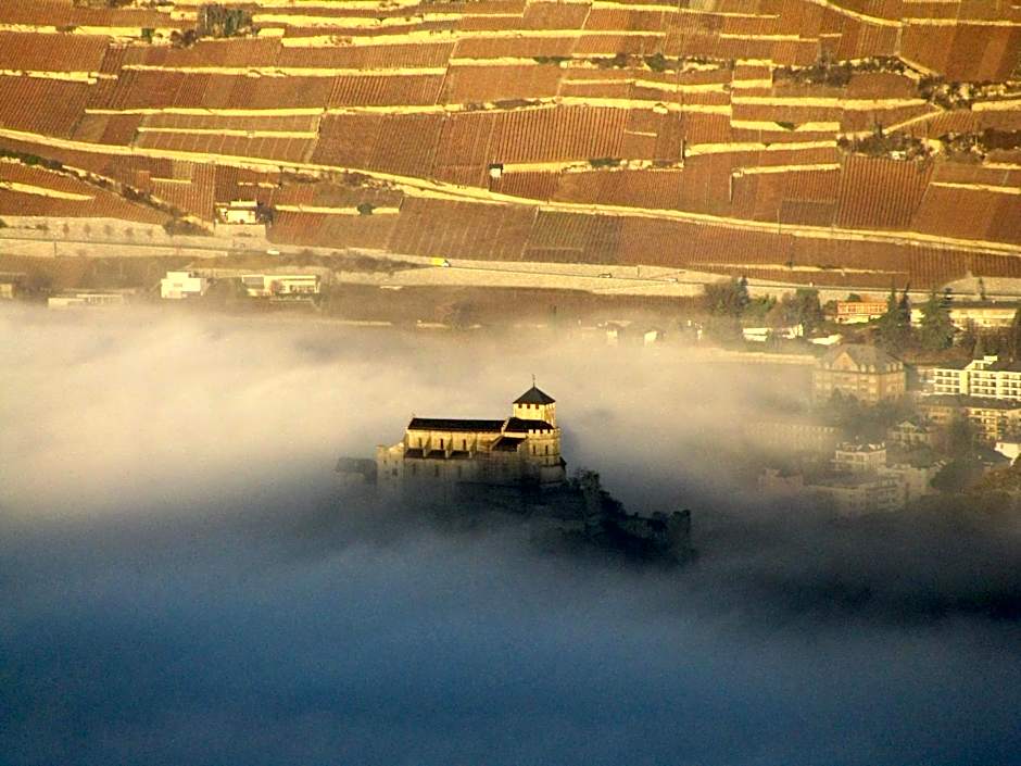 Domaine Bellevie BnB