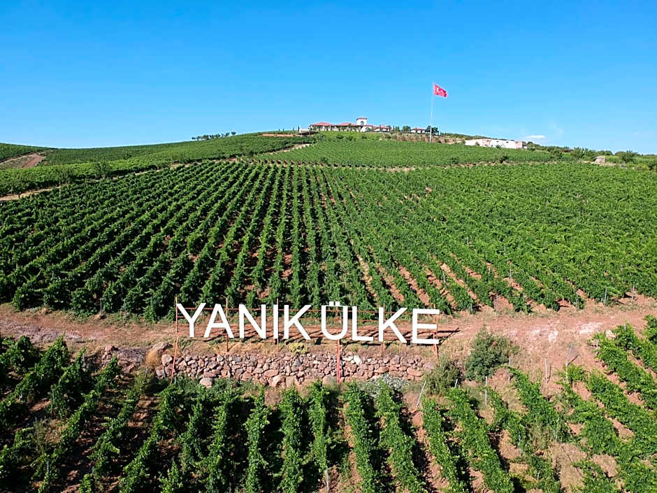 Villa Estet Bağ Hotel