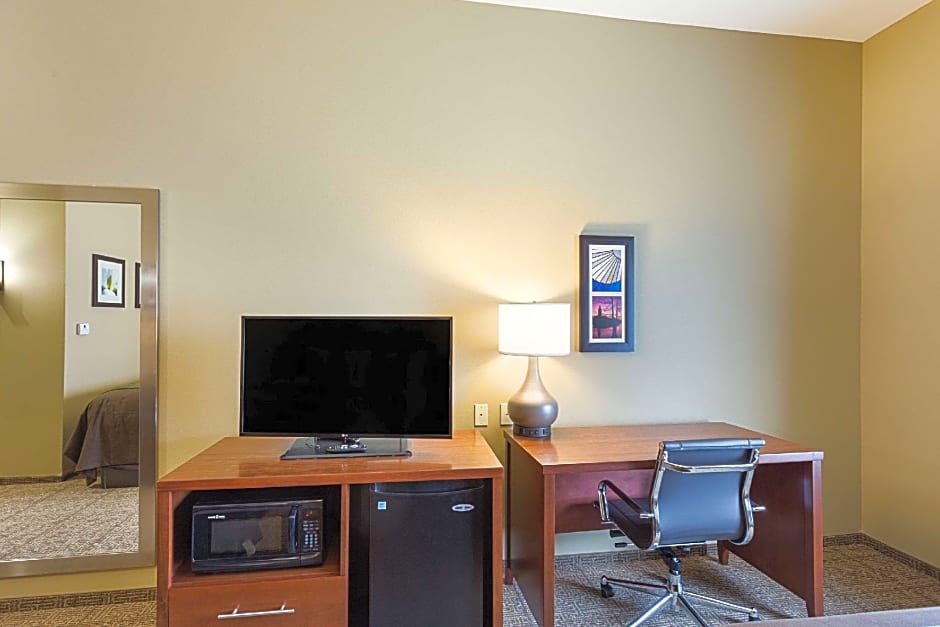 Comfort Inn & Suites Zachary