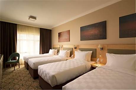 Standard Family City View