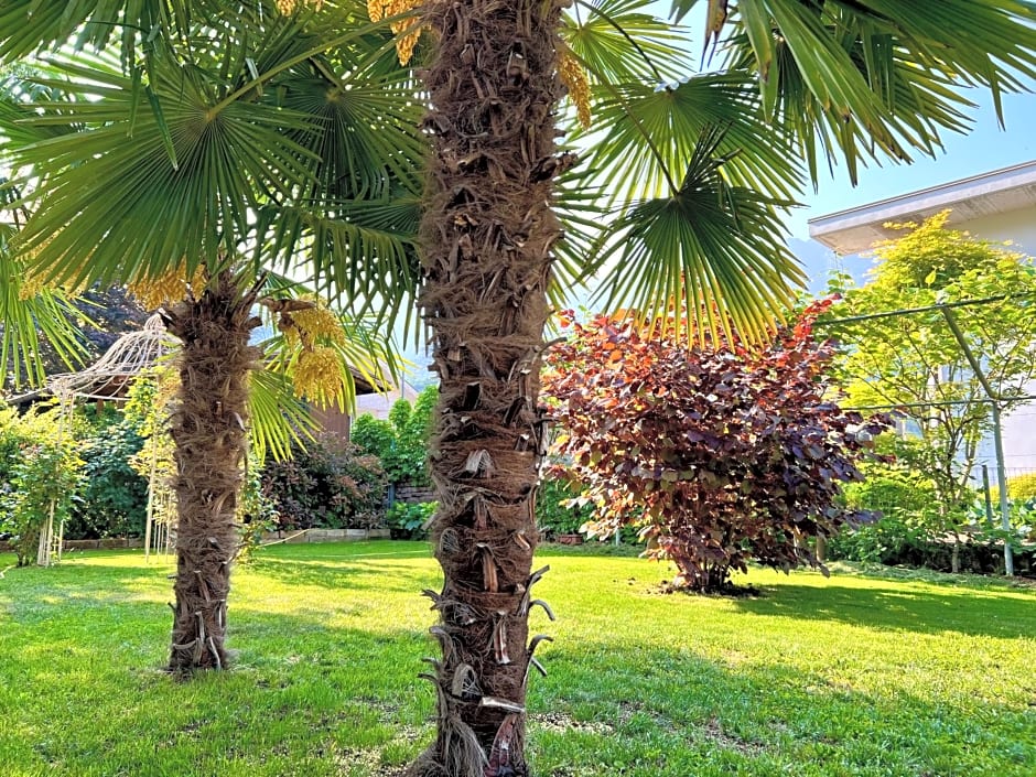 La Finestra sul Giardino - B&B