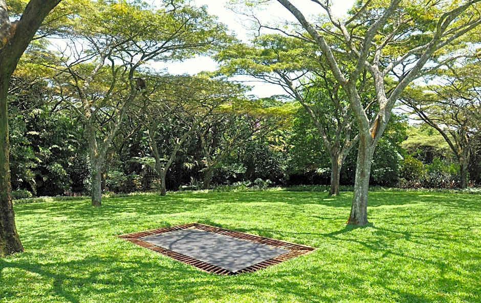 Birds Of Paradise B&b