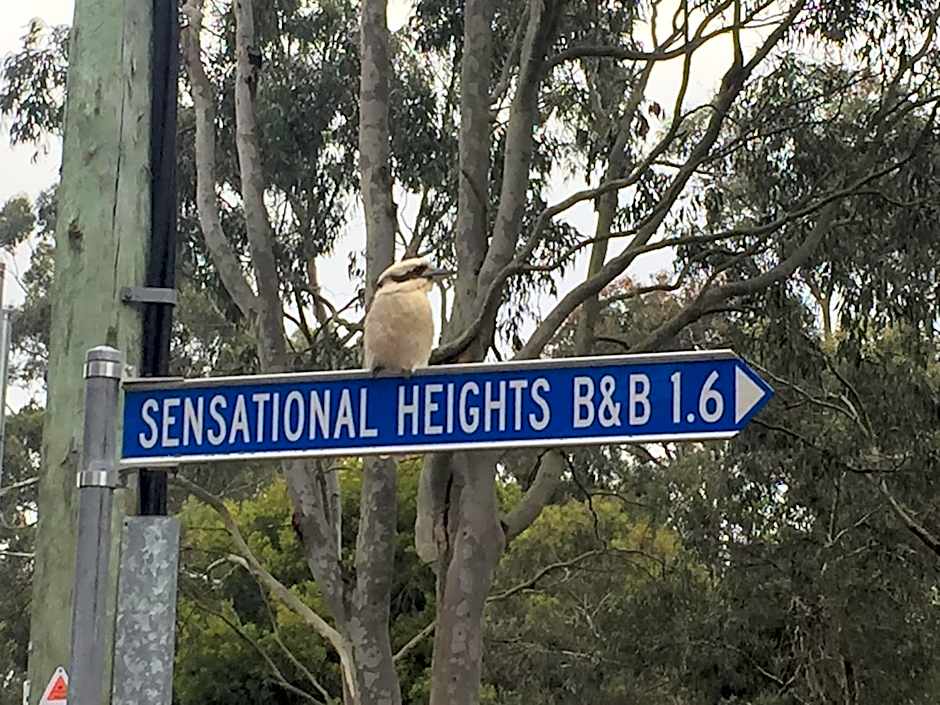 Sensational Heights Bed & Breakfast