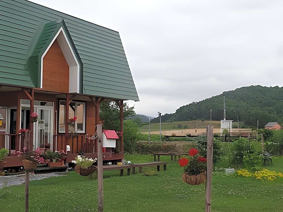 Guesthouse Nisshin