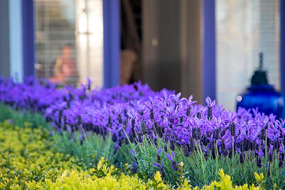 Maxwell's Guest House and Tiny Home