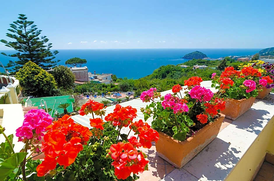 Hotel Terme Saint Raphael