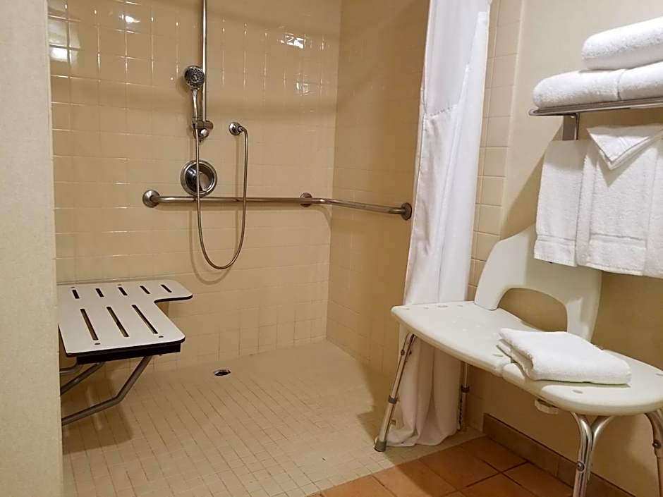 Holiday Inn Hotel & Suites Anaheim By IHG