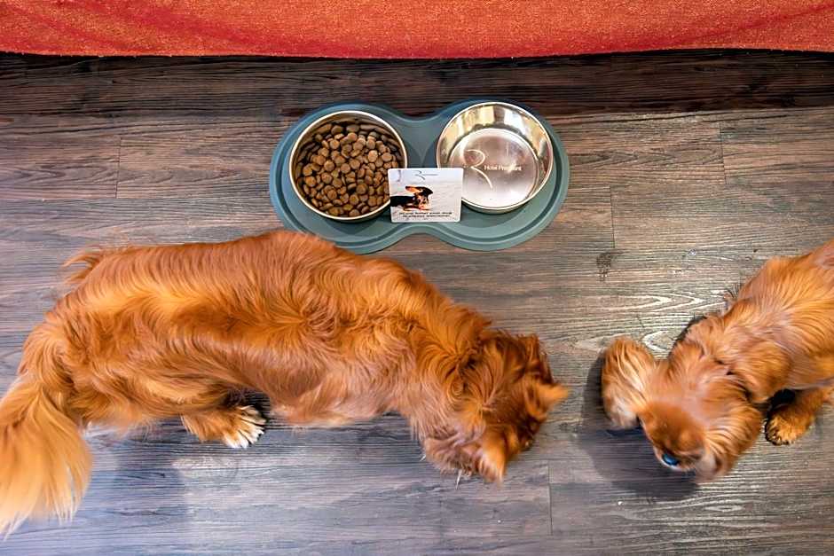 Best Western Hotel President