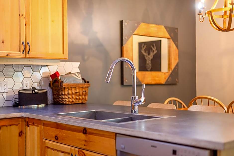 Ski In & 15 Minute Walk to the Lifts Hot Tub AC Pet Friendly