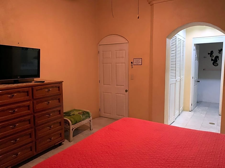 HAB PTa B ÁREA DE VILLAS DENTRO DEL HOTEL Junto al Krystal EN IXTAPA WIFI 2A 1M Con playa