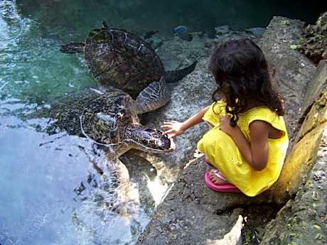 Baraka Aquarium Bungalows