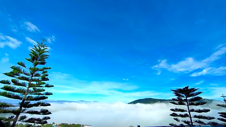 180 All Day All Season