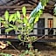 Cape Tribulation Beach House