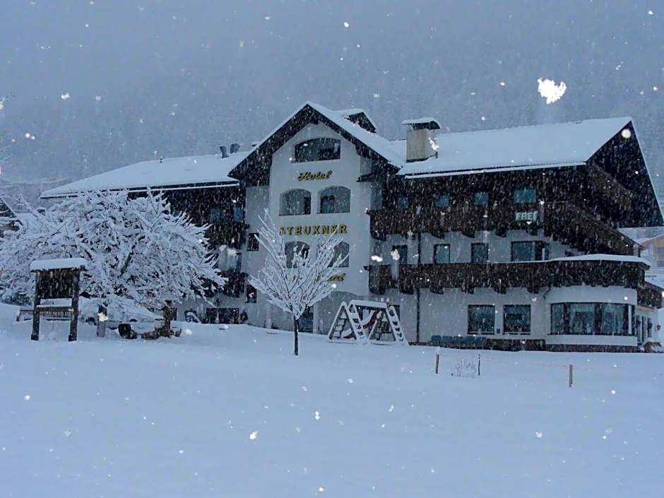 Hotel Steuxner